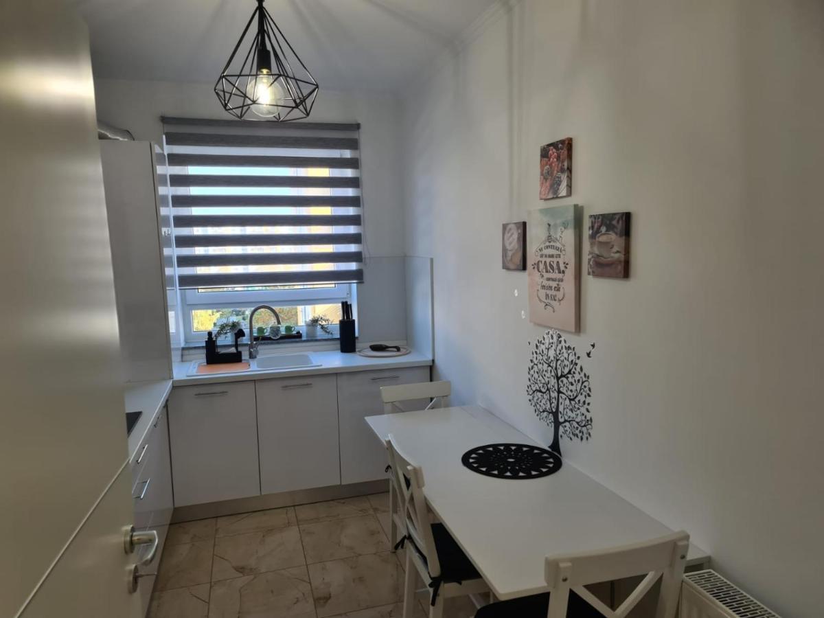 Oscar House Apartment Brasov Ngoại thất bức ảnh